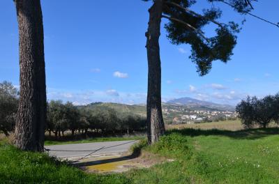 Casale Colonico in vendita a Appignano del Tronto