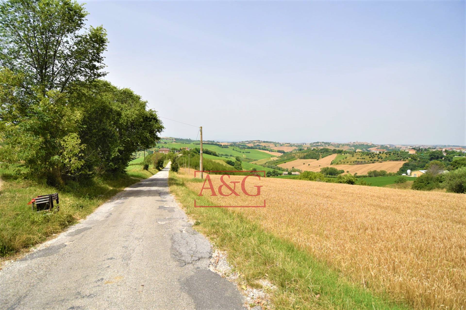 Agricultural Land for sale in Torre San Patrizio