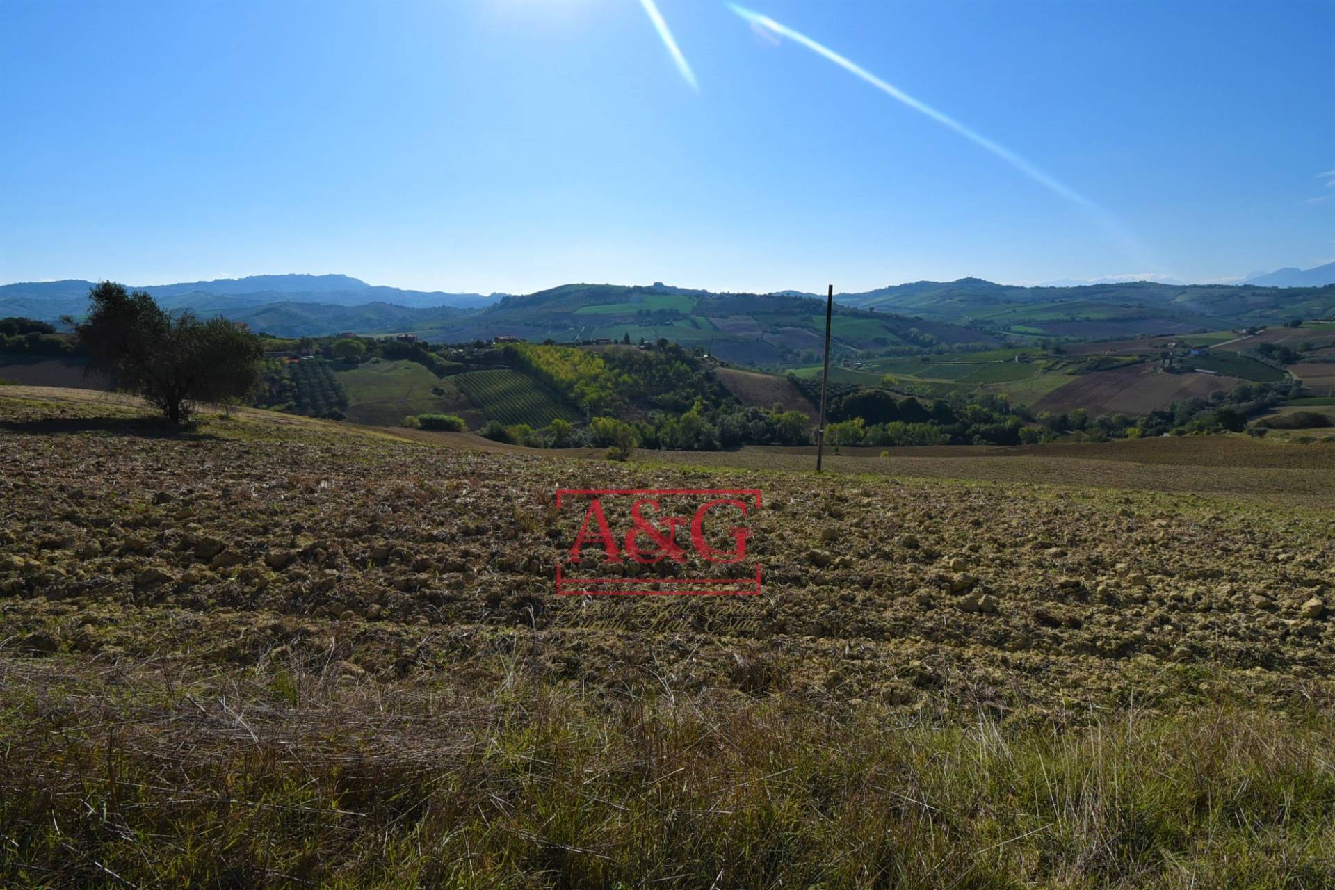 Terreno Agricolo in vendita a Carassai