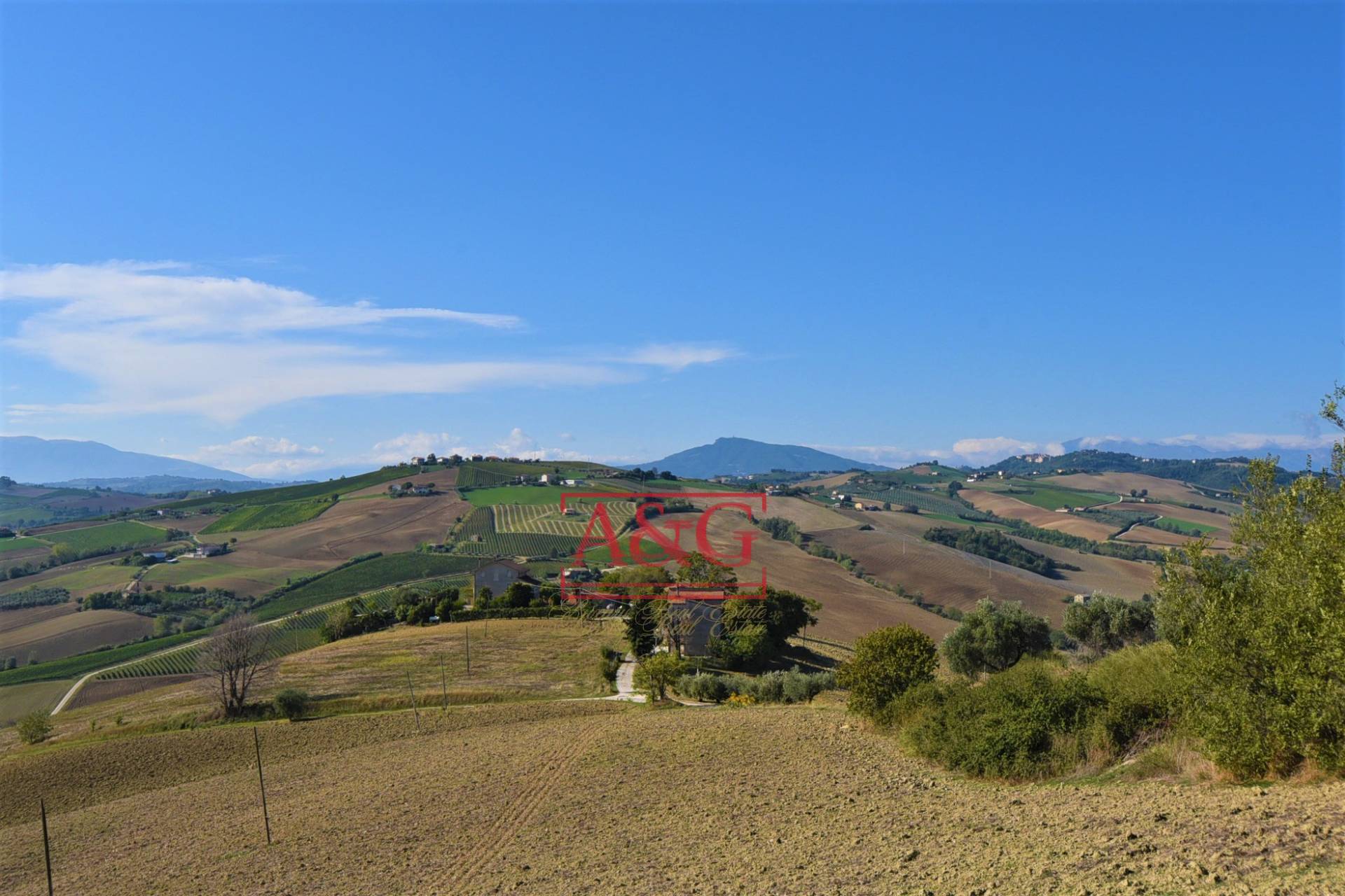Terreno Agricolo in vendita a Carassai
