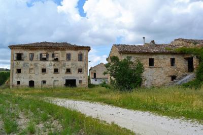Terreno Agricolo in Vendita a Servigliano