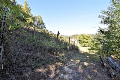 Farmhouse for sale in Venarotta