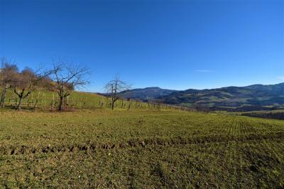 Villa in vendita a Amandola