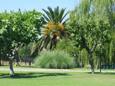 Villa in vendita a Sant'Omero