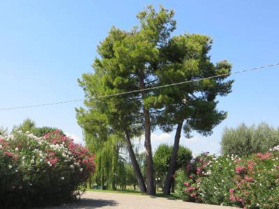 Villa in vendita a Sant'Omero