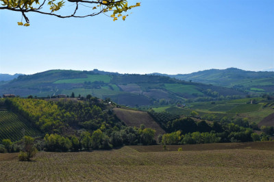 farmhouse to restore for sale in Carassai