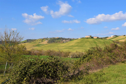 Casale in vendita a Rapagnano