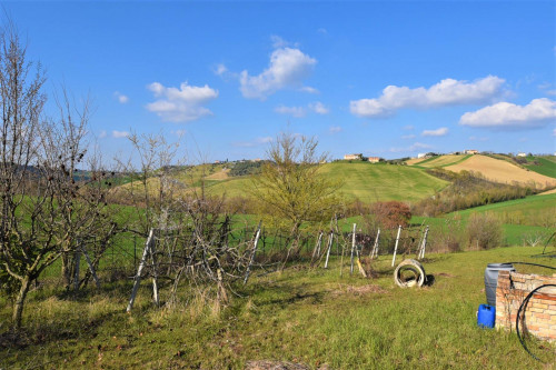 farmhouse for sale in Rapagnano