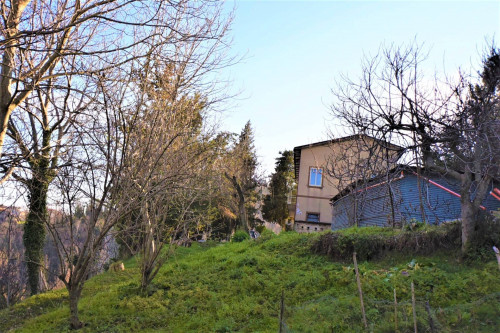 detached House for sale in Montelparo