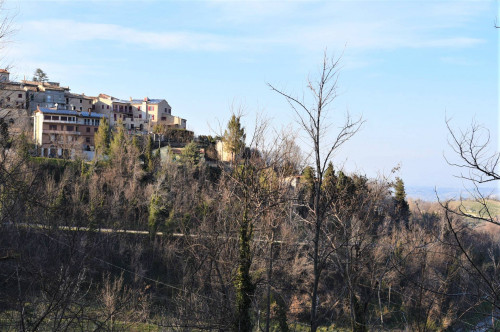 Casa singola in vendita a Montelparo