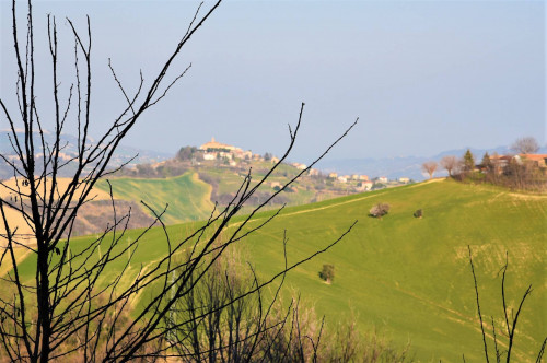 Casa singola in vendita a Montelparo