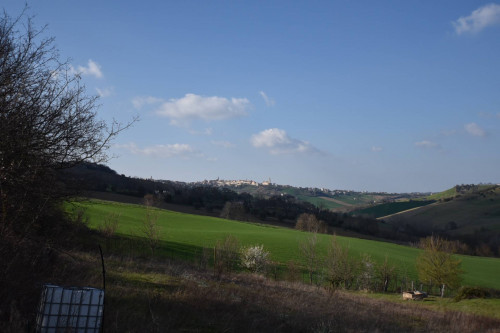 Casa singola in vendita a Montelparo