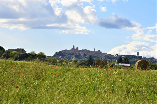 Casale in vendita a Sant'Elpidio a Mare