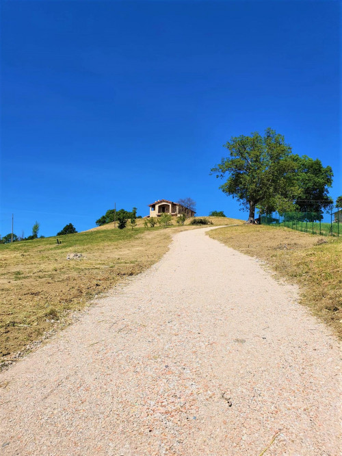 сельский дом на аренда в Montedinove