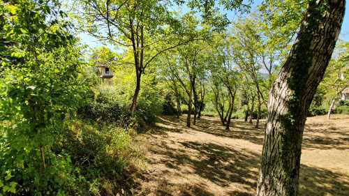 farmhouse to restore for sale in Montefortino