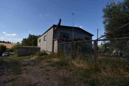 Terreno Agricolo in Vendita a Fermo