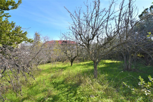 Villa in vendita a Offida (AP)