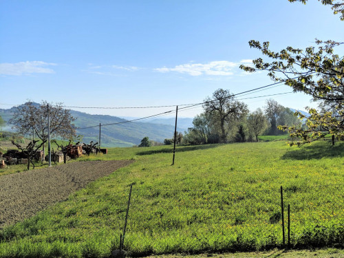 Casa indipendente in vendita a Monte San Martino (MC)