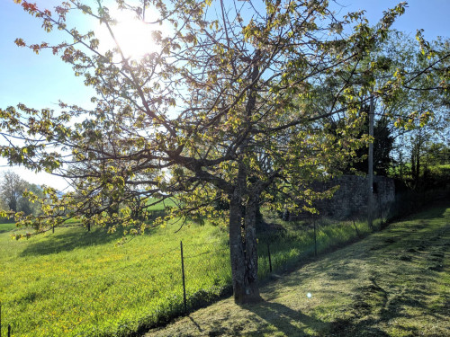 Casa indipendente in vendita a Monte San Martino (MC)