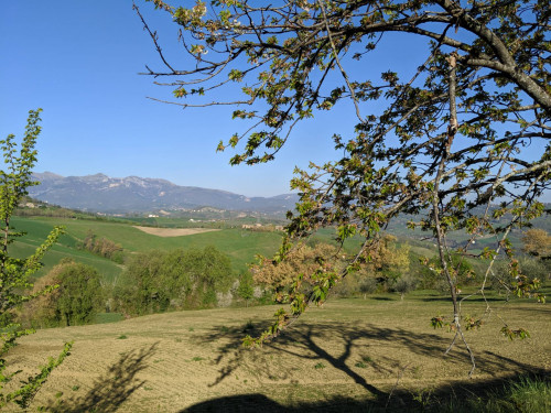 Casa cielo-terra in vendita a Monte San Martino