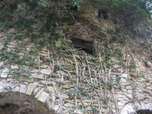 Casa colonica in vendita a Montefalcone Appennino