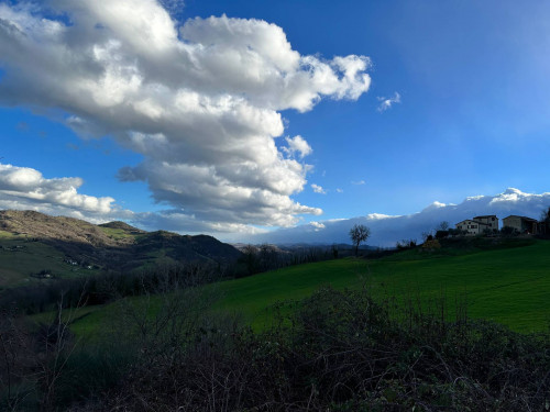 Terreno Agricolo in vendita a Amandola