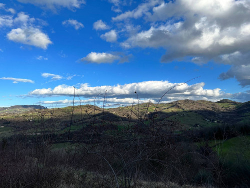 Terreno Agricolo in vendita a Amandola