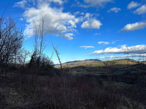 Terreno Agricolo in vendita a Amandola