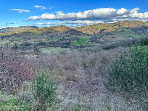 Terreno Agricolo in vendita a Amandola