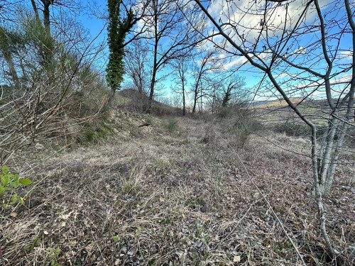 Agricultural Land for sale in Amandola