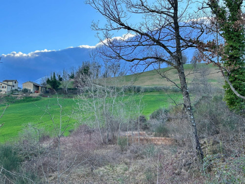 Agricultural Land for sale in Amandola