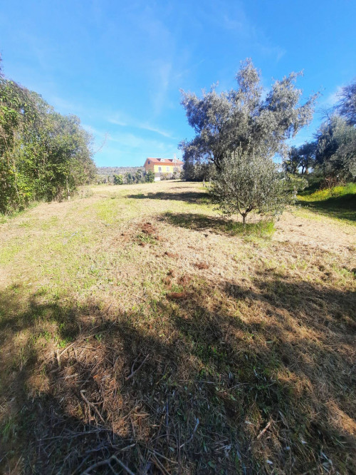  for sale in Altidona