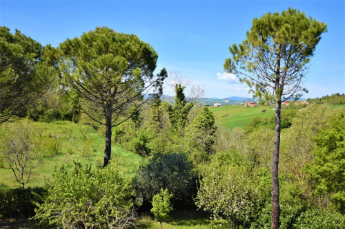 Villa in vendita a Falerone