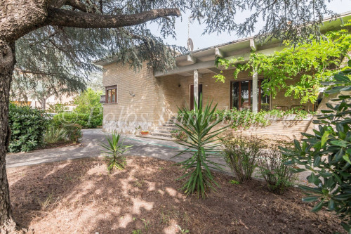 Casa singola in Vendita a Montegiorgio
