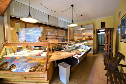 Business to Buy in Montefortino