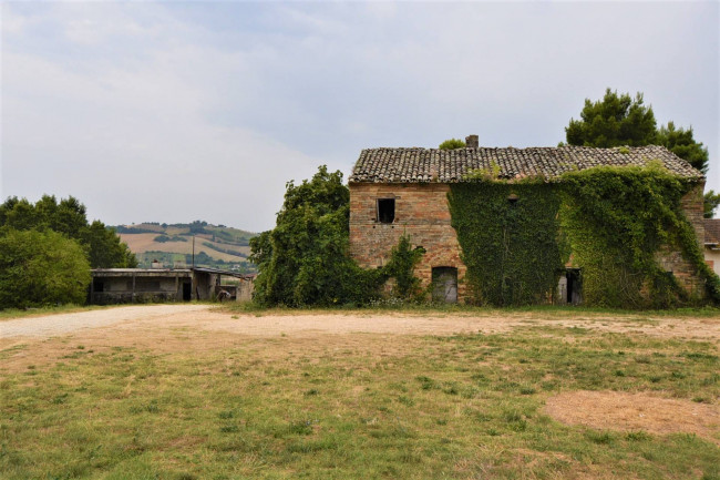 farmhouse to restore for sale in Fermo