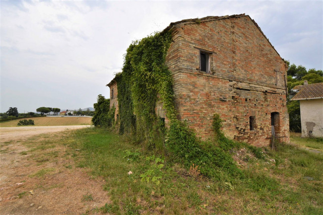 farmhouse to restore for sale in Fermo