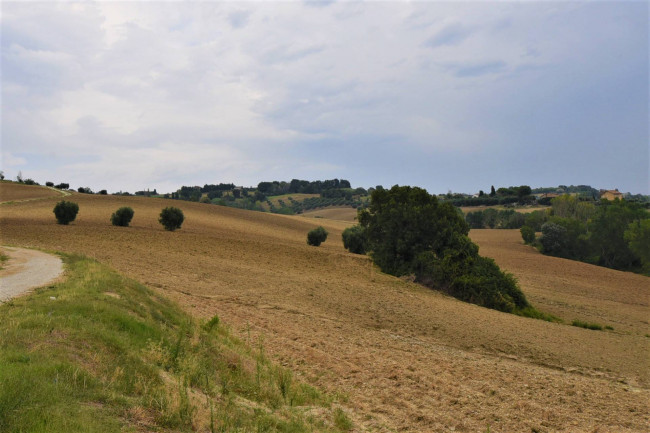 farmhouse to restore for sale in Fermo