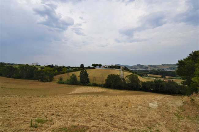 farmhouse to restore for sale in Fermo