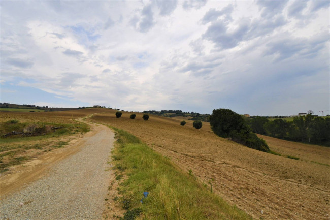 farmhouse to restore for sale in Fermo