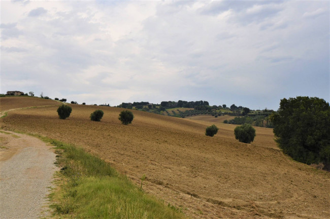 farmhouse to restore for sale in Fermo