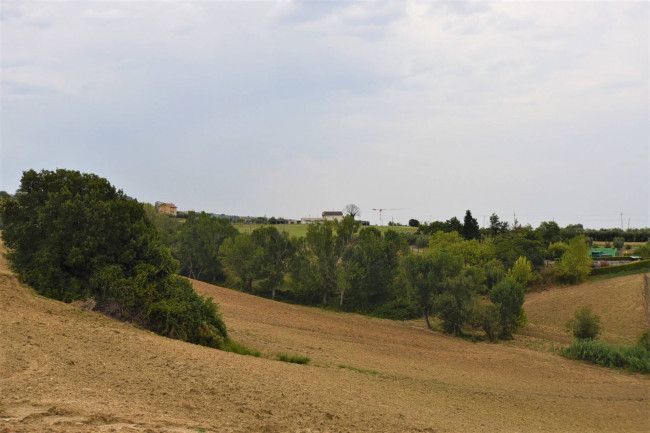 farmhouse to restore for sale in Fermo