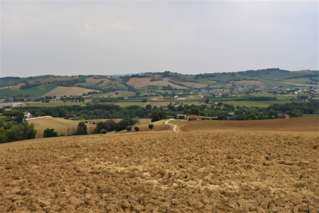 farmhouse to restore for sale in Fermo