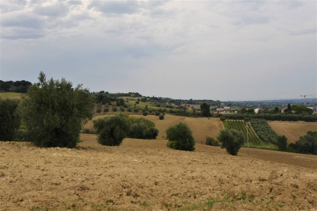 farmhouse to restore for sale in Fermo