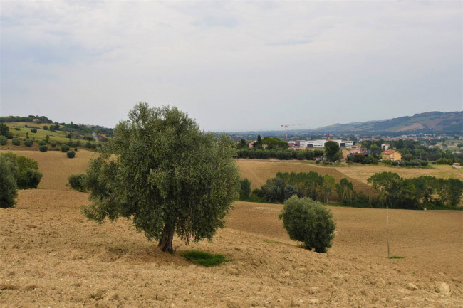 farmhouse to restore for sale in Fermo