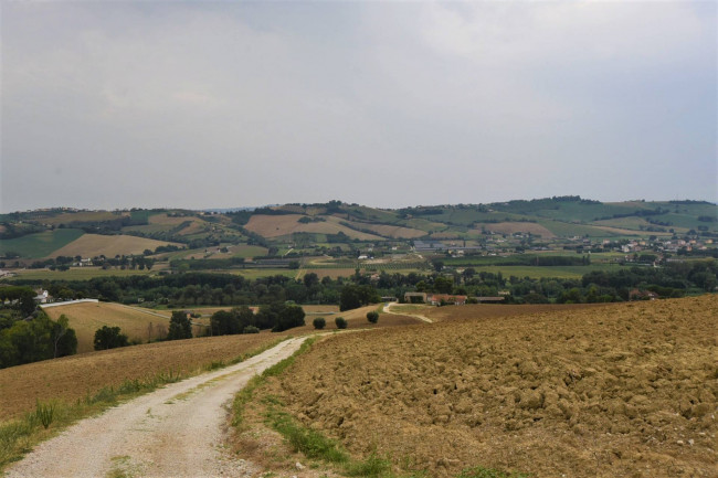 farmhouse to restore for sale in Fermo