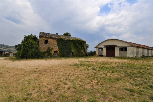 farmhouse to restore to Buy in Fermo
