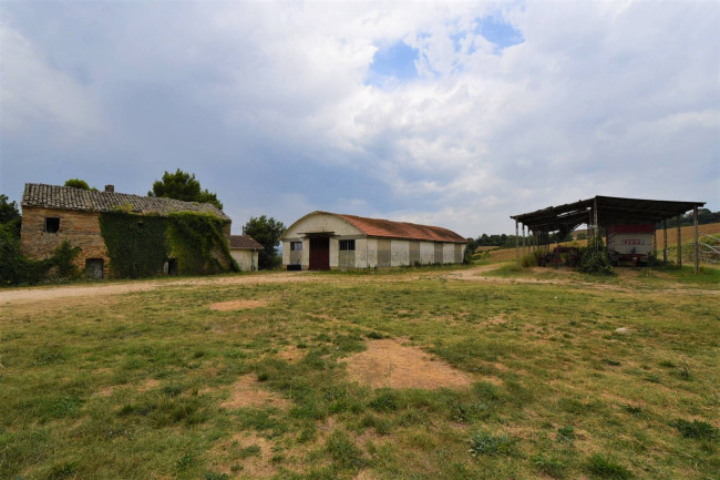 farmhouse to restore for sale in Fermo