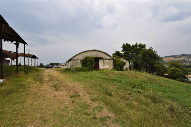 farmhouse to restore for sale in Fermo