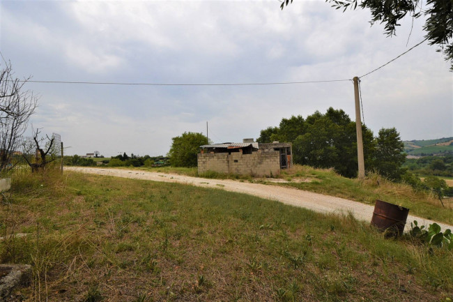 farmhouse to restore for sale in Fermo